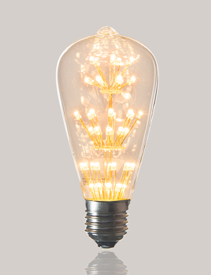 에코플룩스 LED 눈꽃 에디슨 램프 ST64 2W