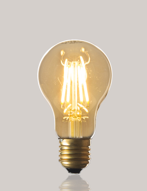 에코플룩스 LED 에디슨 램프 A60 3.5W